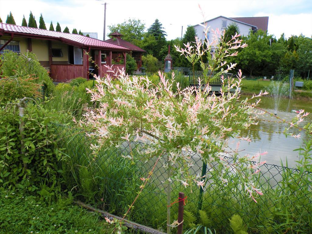 Pokoje Zabi Staw Mikołajki Exterior foto